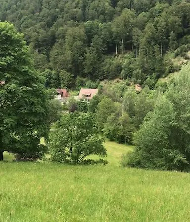 Haus An Der Sieber Zimmer 1 Appartamento